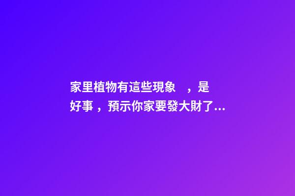 家里植物有這些現象，是好事，預示你家要發大財了！
